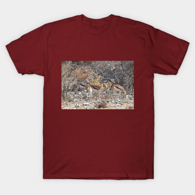 Namibia. Etosha National Park. Springboks. T-Shirt by vadim19